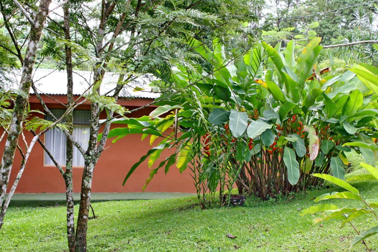 Cabañas Green House San Vito Buitenkant foto
